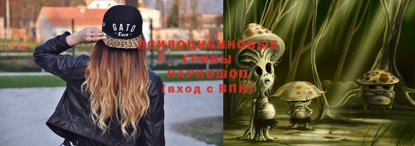 ALPHA PVP Белокуриха