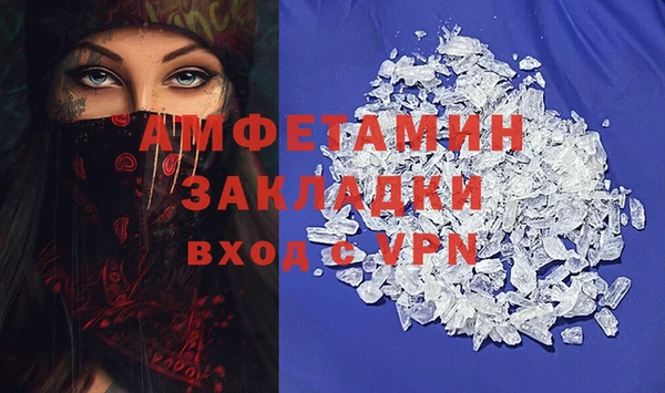 шишки Богородицк