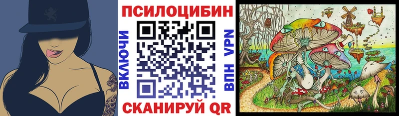Псилоцибиновые грибы Cubensis  Купить закладки  Медногорск 